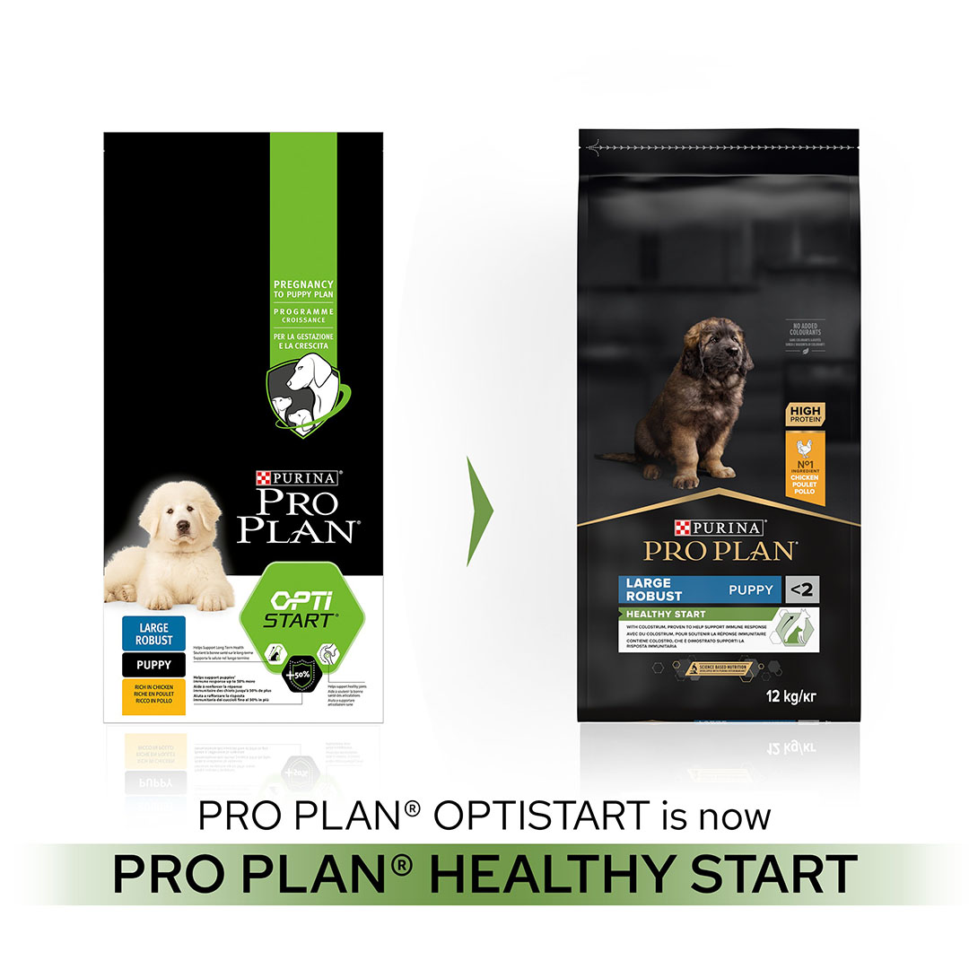 Purina pro plan store robust